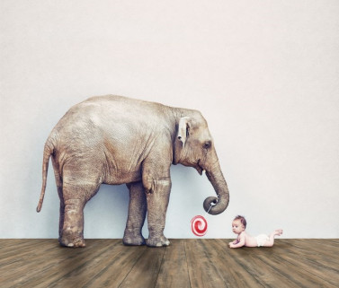 Виниловый пол ADO FLOOR - 2020 - Exclusive Wood Series замок