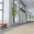 Виниловый пол WINEO - DB00079 - 800 Wood Salt Lake Oak клеевой Виниловый пол WINEO - DB00079 - 800 Wood Salt Lake Oak клеевой