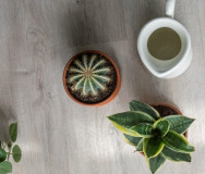 Вінілова підлога Vinilam - 20468 - Дуб Ален